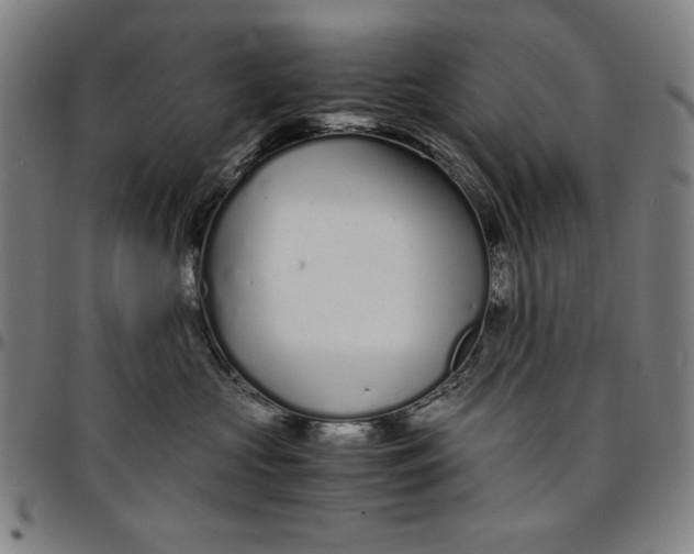 X0000094970573200712131457