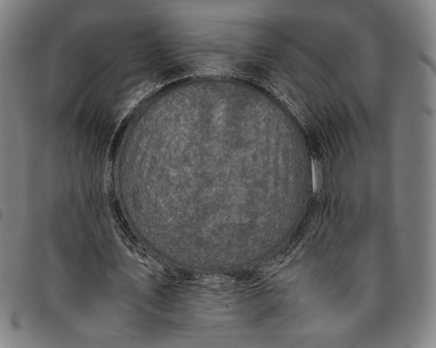 X0000094970579200712131457