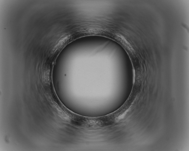 X0000094970585200712131457