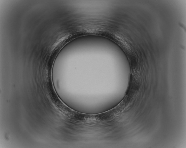 X0000094970587200712131456