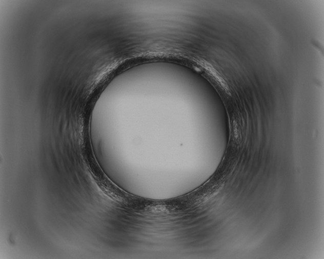 X0000094970588200712131456