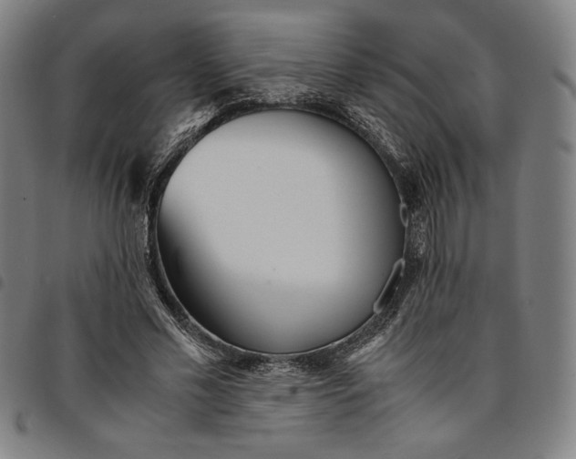 X0000094970589200712131456