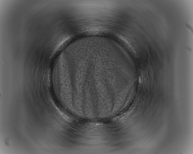 X0000094970590200712131456