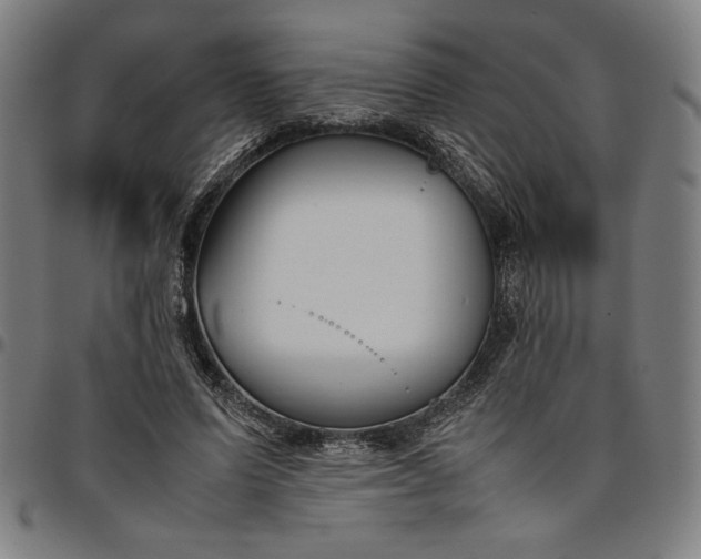 X0000094970591200712131456