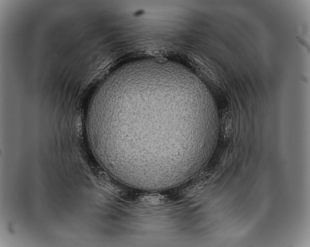 X0000094970595200712131456