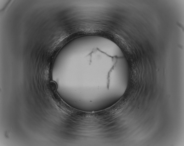 X0000094970596200712131456