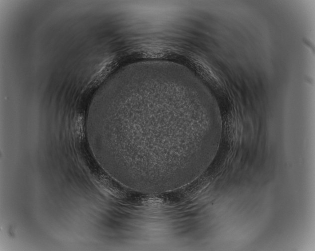 X0000094970598200712131456