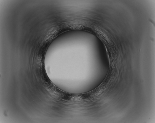 X0000094970599200712131456