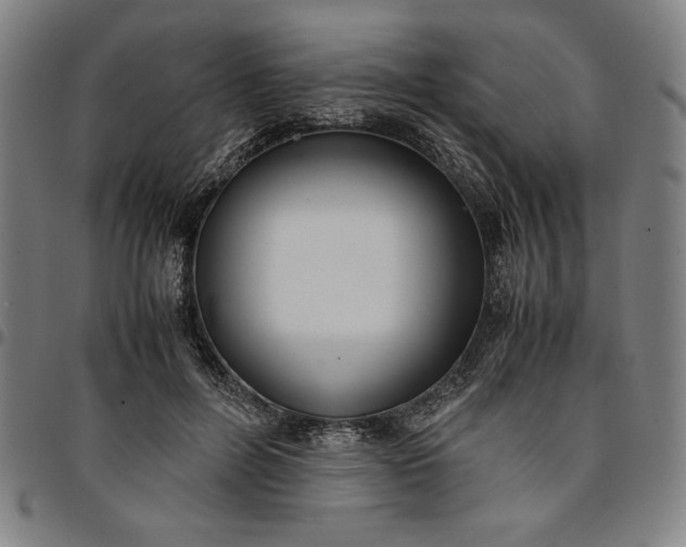 X0000094970600200712131456