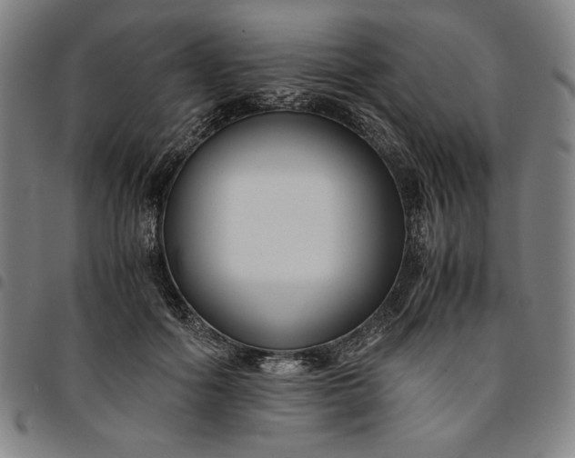 X0000094970602200712131456