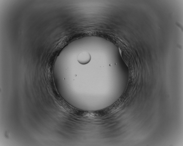 X0000094970611200712131456