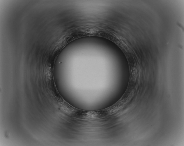 X0000094970612200712131456