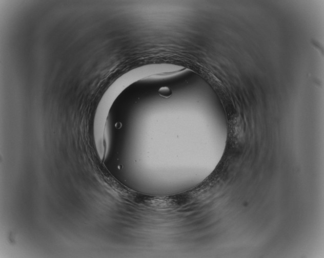 X0000094970615200712131456