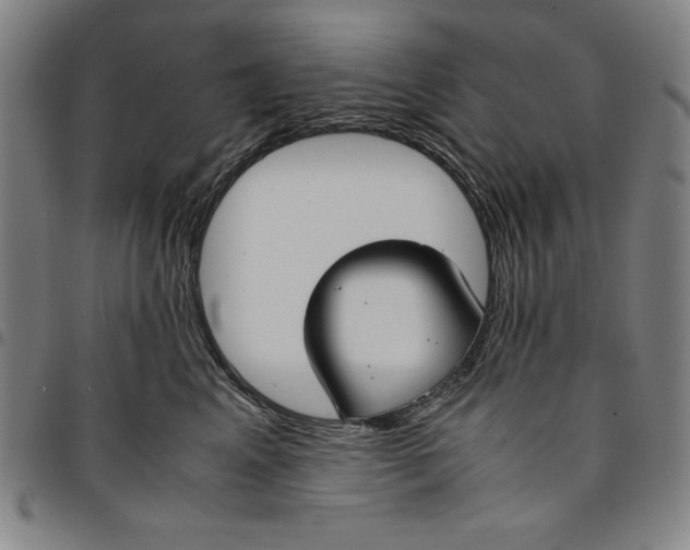 X0000094970617200712131456