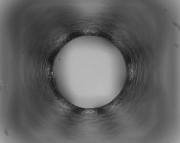 X0000094970619200712131456