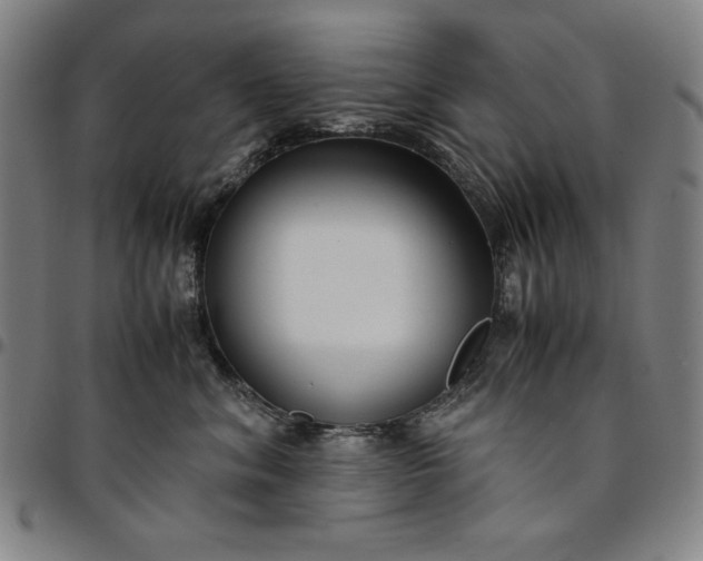 X0000094970620200712131456