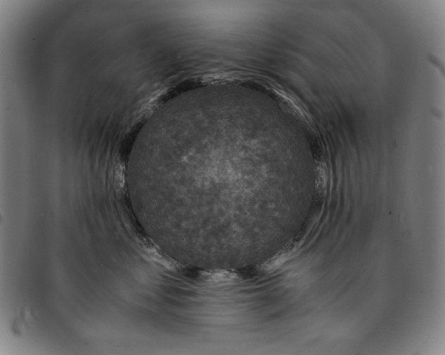 X0000094970621200712131456