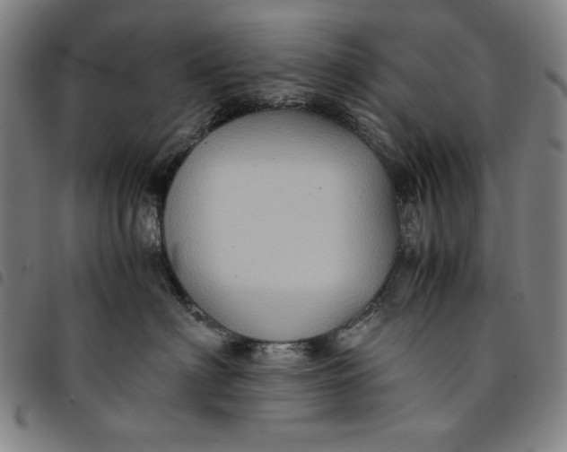 X0000094970622200712131456