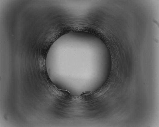 X0000094970624200712131456