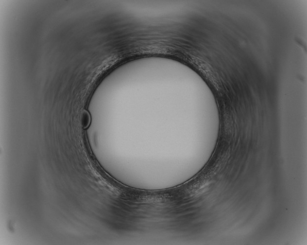 X0000094970625200712131455