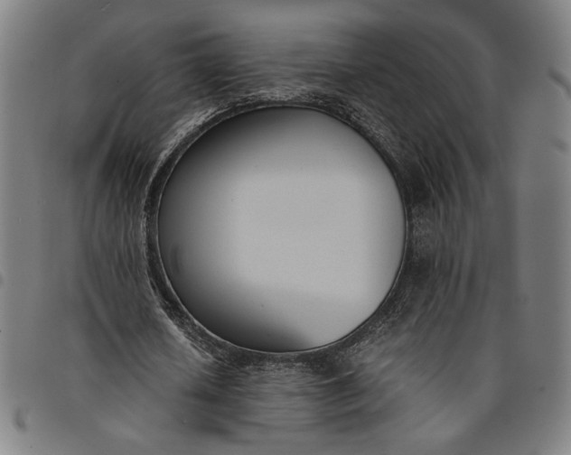 X0000094970626200712131455