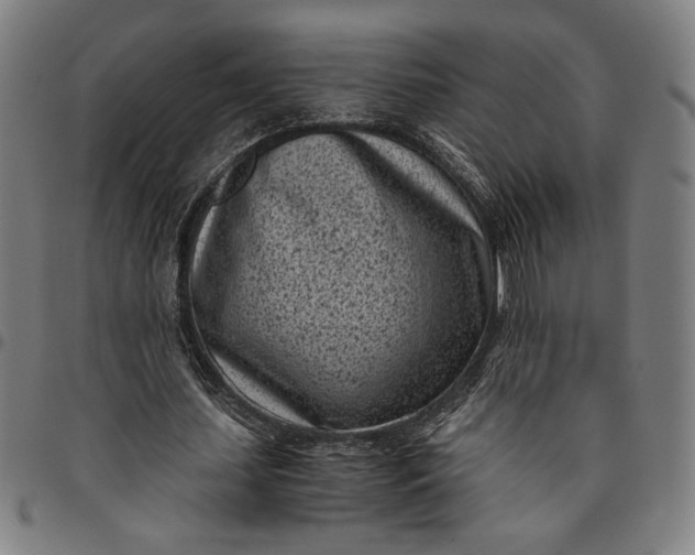 X0000094970627200712131455