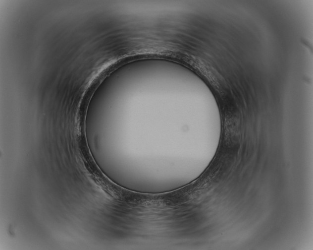 X0000094970628200712131455