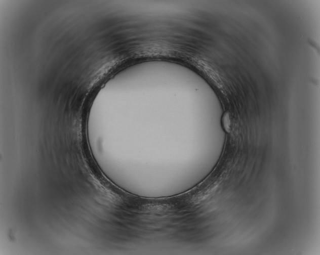 X0000094970629200712131455