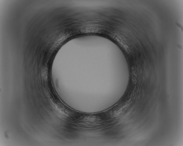 X0000094970631200712131455