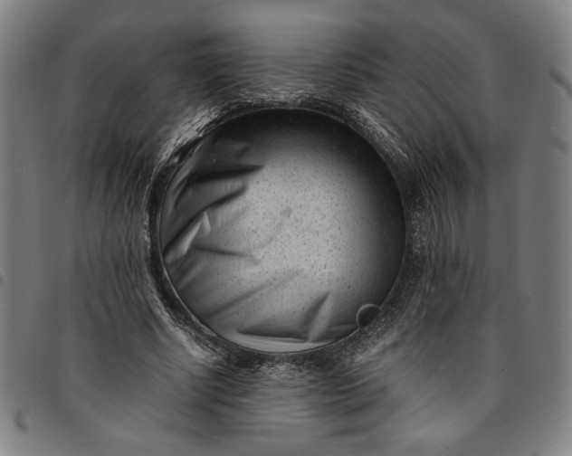 X0000094970634200712131455