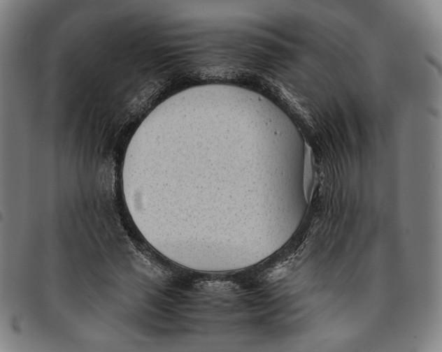 X0000094970637200712131456