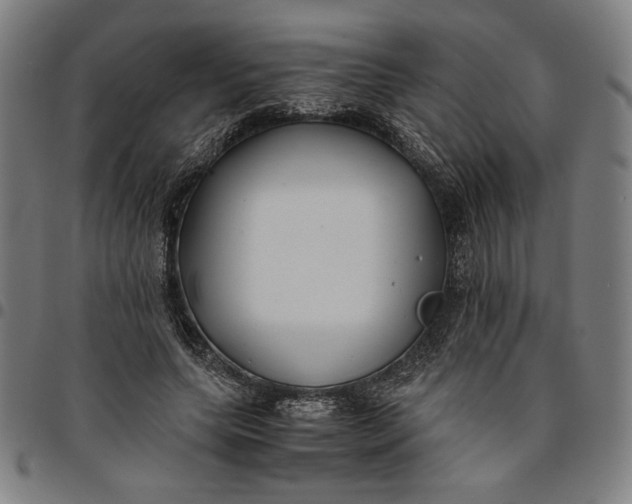 X0000094970639200712131456