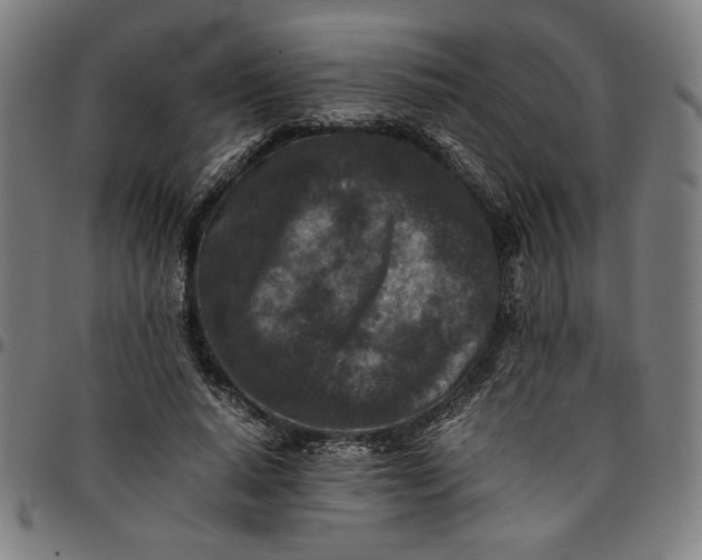 X0000094970640200712131456