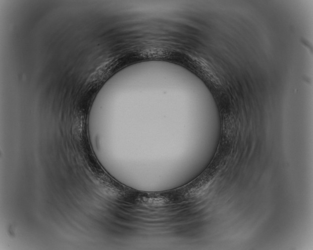 X0000094970645200712131456