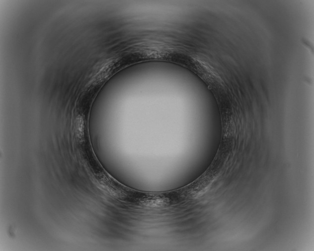 X0000094970646200712131456