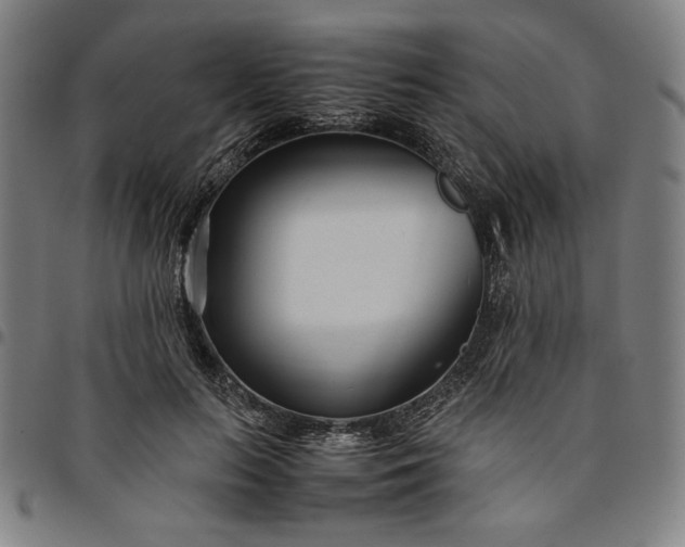 X0000094970647200712131456