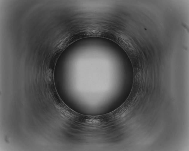 X0000094970649200712131456