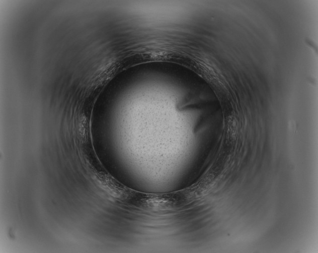 X0000094970650200712131456