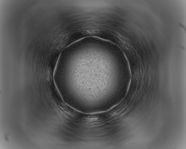 X0000094970651200712131456