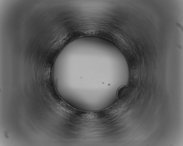 X0000094970652200712131456