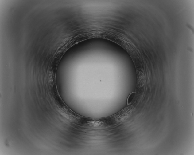 X0000094970654200712131456