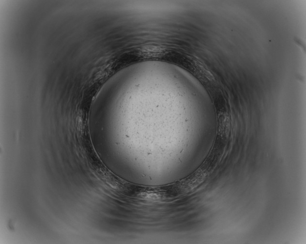 X0000094970655200712131456