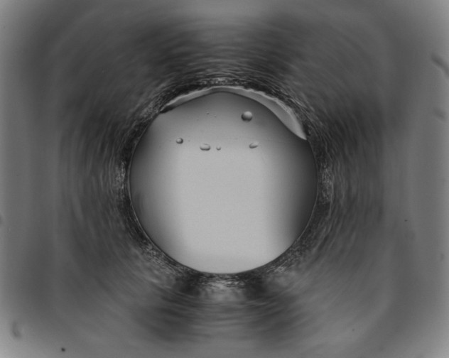 X0000094970657200712131456