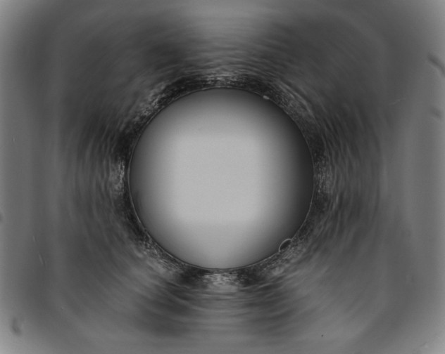 X0000094970660200712131456