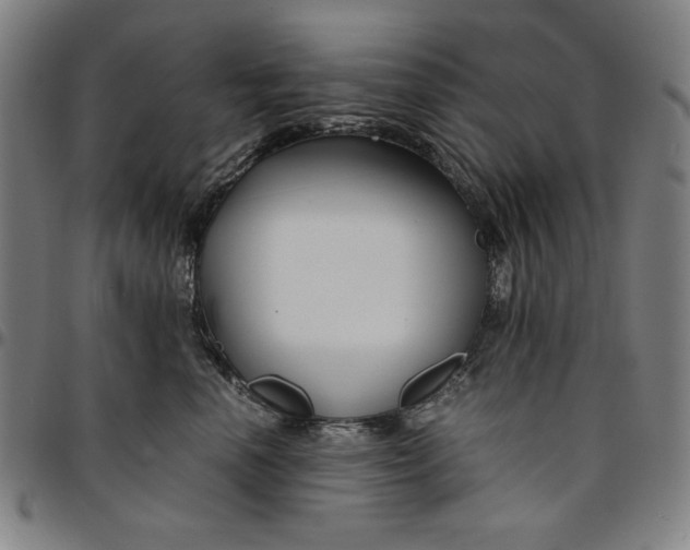 X0000094970666200712131456