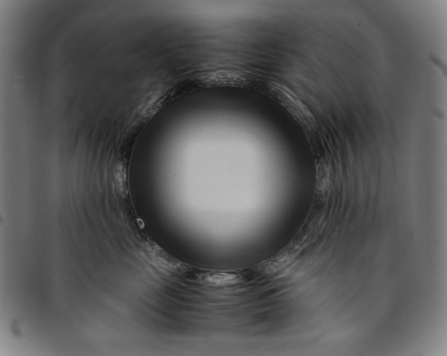 X0000094970669200712131456