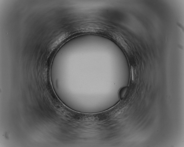 X0000094970675200712131455