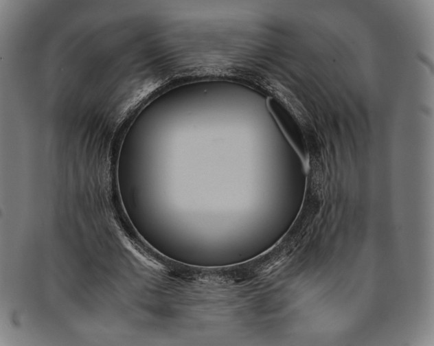 X0000094970677200712131455