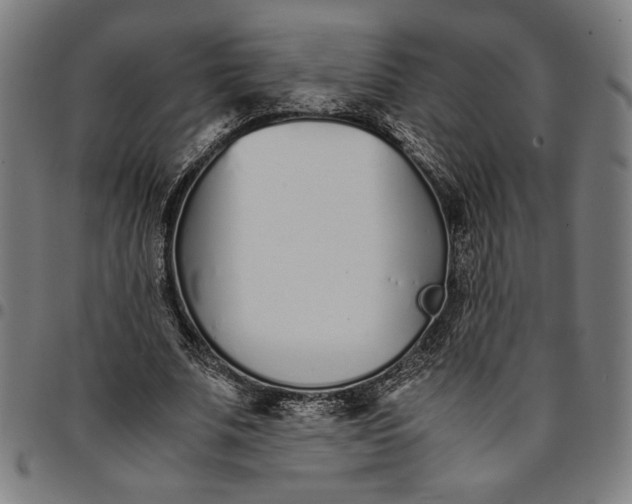 X0000094970679200712131455