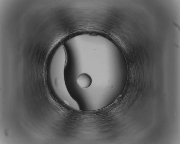 X0000094970680200712131455